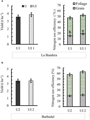 Rice yield in Costa Rican Central Pacific did not improve with a urease inhibitor